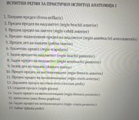 IMG_6403.jpeg