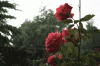 tumblr_lzavbg626A1qg81q3o1_500.gif