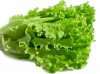 6236352-fresh-green-salad-on-white-isolated-background.jpg