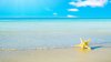 summer-beach-wallpaper-1024x576.jpg