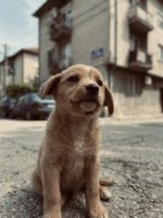 IMG_8335.jpeg