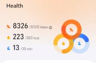 Screenshot_20260821_223101_com_hihonor_health_MainActivity.jpg