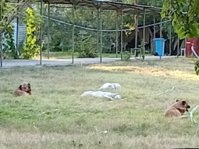 IMG_20260822_181715.jpg