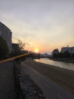 IMG_20260820_185533.jpg