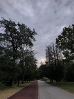 IMG_20260708_172020.jpg