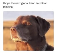 IMG_9345.jpeg