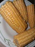 20260831_212913.jpg