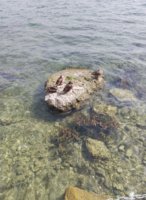 IMG_20260828_151600.jpg