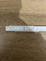 IMG_5634.jpeg