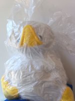 IMG_20260905_144116.jpg
