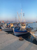 IMG_4424.jpeg