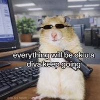 IMG_3866.jpeg