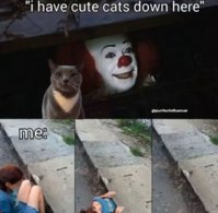 FB_IMG_1788890611017.jpg