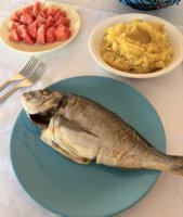 IMG_2719.jpeg