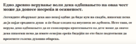 upload_2026-9-17_14-13-30.png