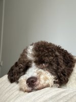 IMG_3483.jpeg