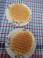 20260919_210947.jpg