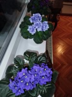 IMG_20260930_192828.jpg