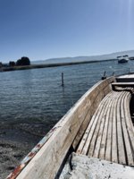 IMG_0858.jpeg