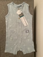IMG_3647.jpeg