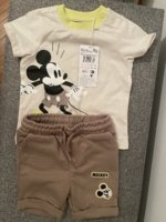 IMG_3646.jpeg