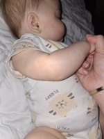 20261006_161335.jpg