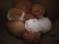 IMG_20260324_152012.jpg