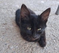 20260830_174732.jpg
