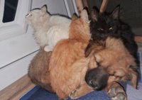 20261006_204927.jpg