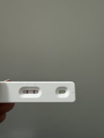 IMG_2519.jpeg