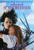 imgedward scissorhands4.jpg