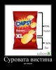 cips.jpg