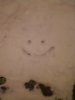 smily in the snow.jpg