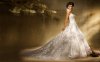 White-Lace-Wedding-Dresses-2013-Background-HD-Wallpaper.jpg