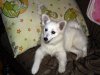 SAM_0759.JPG