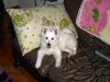 SAM_0758.JPG