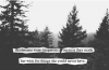 quote.png