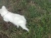 kiki 016.jpg