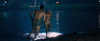 ---_500x206_9326.gif