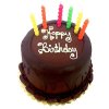 happy-birthday-cake-with-candles-500x500.jpg