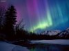 Northern_Lights_Over_Portage_River_Valley_Alaska.jpg