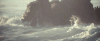 tumblr_mgtxnybfv71s390qao1_500.gif