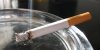 cigari.jpg