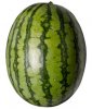 ttar_watermelon_01_v_launch.jpg