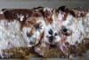 DSC04100.JPG