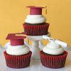 graduation cookies.jpg