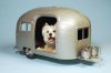 camper-dog.jpg