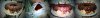 SAM_0279-horz.jpg
