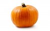 yogurt_pumpkin_img2.jpg