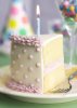 birthday_cake_slice (1).jpg